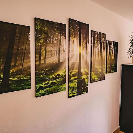 Franzis Feriendomizil Im Herzgebirge Am Skihang Auerbach  Экстерьер фото