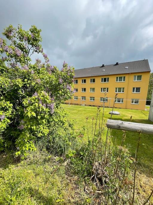Franzis Feriendomizil Im Herzgebirge Am Skihang Auerbach  Экстерьер фото